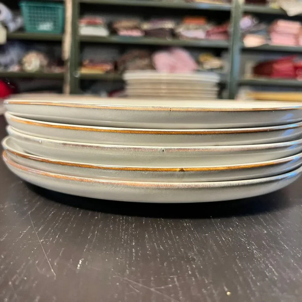 Ikea GLADELIG (5) Gray Stoneware Dinner Plates 10